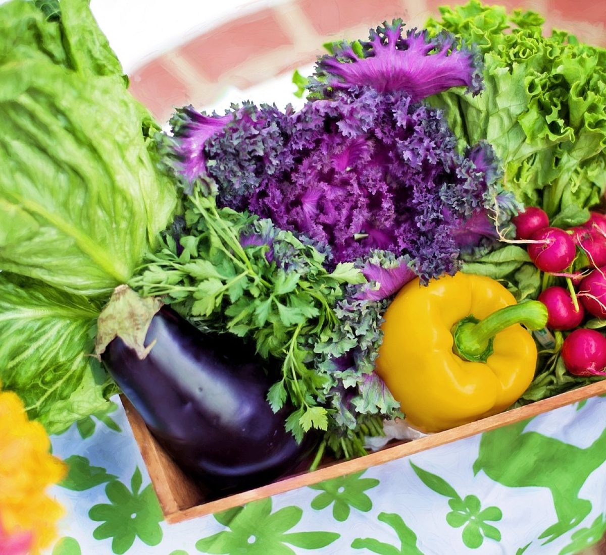 vegetables, garden, harvest